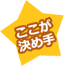 記述テストに使える唯一と言っていい選択 記述式なのにPCで採点できて、集計・分析できるのが一番の魅力