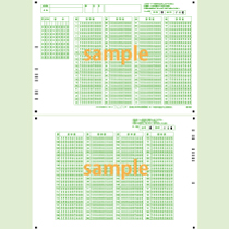 SN-0487　A4両面マークシート年クラス番号200問10択