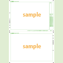 SN-0501　A4横両面フリーフォーマットシート年クラス番号