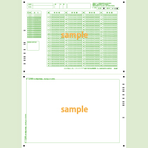 SN-0607　A4横マーク記述混在シート100問10択年クラス番号