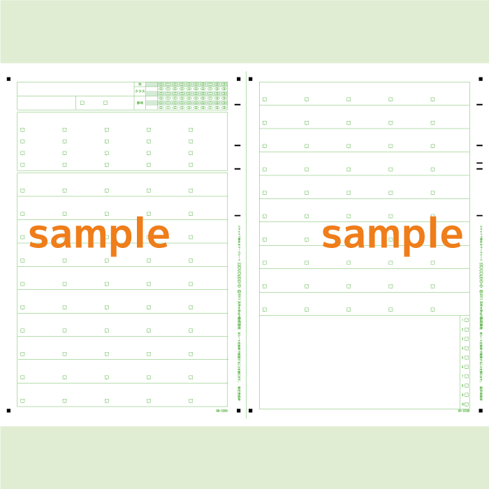 SN-0289　A4両面チェックマークシート年クラス番号20問5択[+1問20択/1問10択]